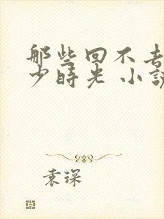 那些回不去的年少时光 小说封面