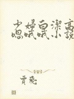 少妇白洁高义嗯嗯哦哦小说