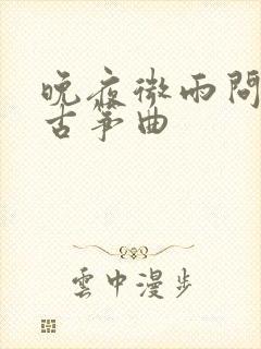 晚夜微雨问海棠古筝曲