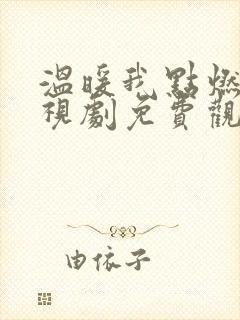 温暖我点燃你电视剧免费观看23