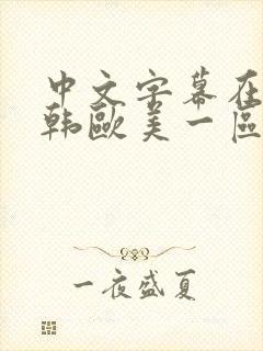 中文字幕在线日韩欧美一区封面