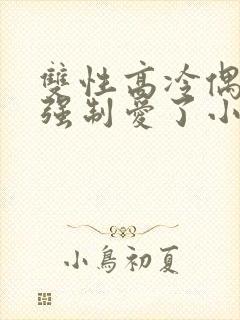 双性高冷偶像被强制爱了小说讲的什