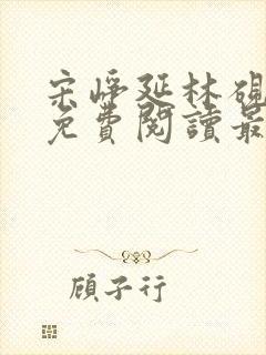 宋峥延林砚小说免费阅读最新章节