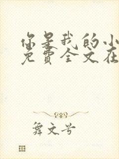 你是我的小确幸免费全文在线阅读封面