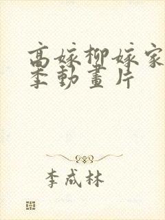 高嫁柳嫁家第二季动画片