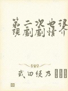 第二次也很美电视剧剧情介绍封面