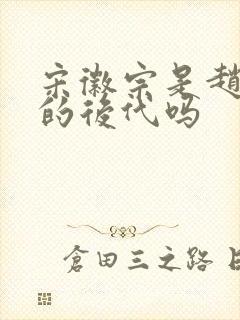 宋徽宗是赵匡胤的后代吗