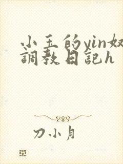 小玉的yin奴调教日记h