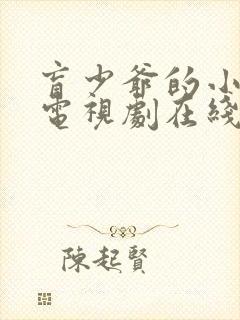 盲少爷的小女仆电视剧在线观看