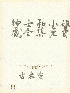 绅士和小姐电视剧全集免费