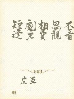 短剧相思不似相逢免费观看封面