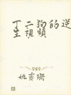丁二狗的逆袭人生视频