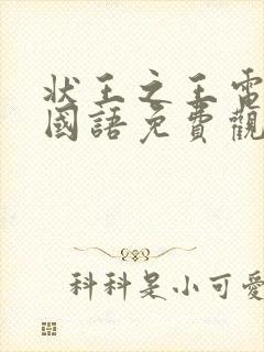 状王之王电视剧国语免费观看全集