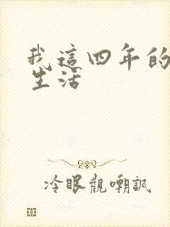 我这四年的奴隶生活封面