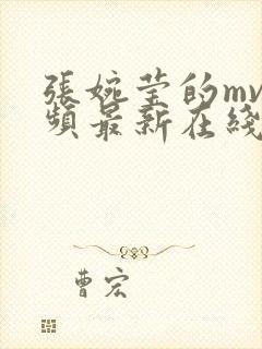 张婉莹的mv视频最新在线观看