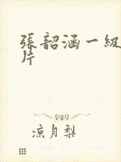 张韶涵一级裸体片