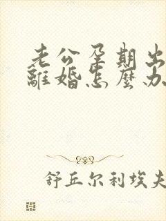 老公孕期出轨要离婚怎么办我不想离