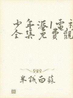 少年派1电视剧全集免费观看超清