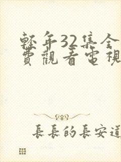 轻年32集全免费观看电视剧封面