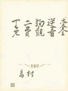 丁二狗逆袭人生免费观看全集封面