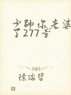 少帅你老婆又跑了277章