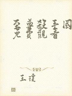 至尊杀手国语版免费观看