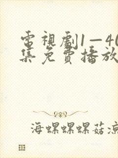 电视剧1—40集免费播放封面