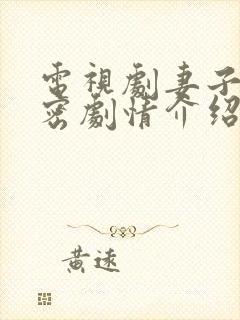 电视剧妻子的秘密剧情介绍大结局是什么