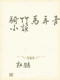 骑竹马弄青梅 小说封面