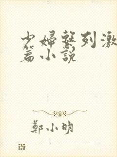 少妇系列激情短篇小说封面