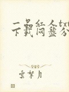 一品红人txt下载网盘分享封面