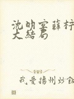 沈明宴薛柠林菀大结局