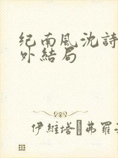 纪南风沈诗澜番外结局