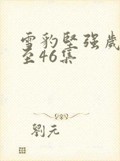 雪豹坚强岁月1至46集