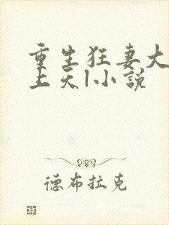 重生狂妻大佬宠上天l小说