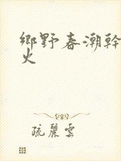 乡野春潮干柴烈火封面