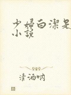 少妇白洁是哪本小说