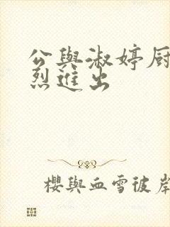 公与淑婷厨房猛烈进出封面