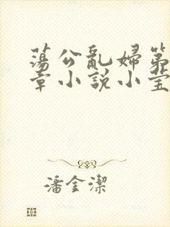 荡公乱妇第51章小说小莹