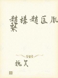 赵构赵匡胤啥关系