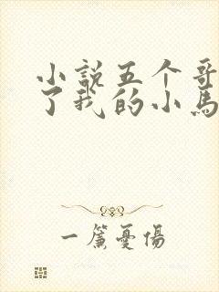 小说五个哥哥扒了我的小马甲