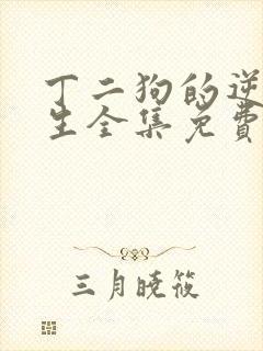 丁二狗的逆袭人生全集免费