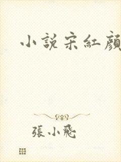 小说宋红颜叶凡