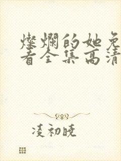 灿烂的她免费观看全集高清封面