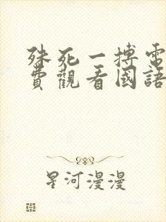 殊死一搏电影免费观看国语封面