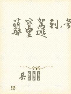 萌宝驾到,爹地哪里逃封面