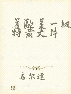 着欧美一级特黄特黄大片封面