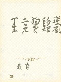 丁二狗的逆袭人生免费短剧