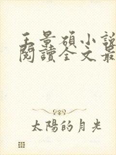 王景硕小说免费阅读全文最新章节封面