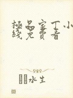 极品家丁小说在线免费看封面